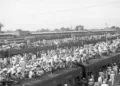 Sindhis fleeing on the roof top of the train after partition (File Image)