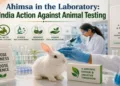 India is turning ancient ahimsa into modern science by advancing organoids and organ-on-chip technologies to reduce animal testing