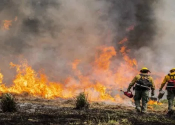 Massive wildfire in Washington