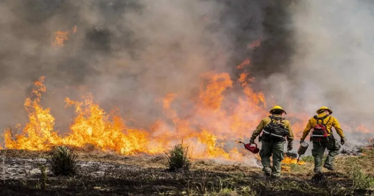 Massive wildfire in Washington