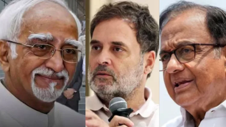 'Indian' in Mahmud Ghazni, Accused of Compromising RAW Ops, Hameed Ansari Now Declares Hindu Right-Wing Danger to India