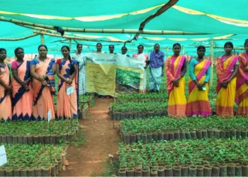 Tribal Women Turn Coffee Nursery into Rural Enterprise