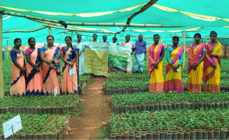 Tribal Women Turn Coffee Nursery into Rural Enterprise