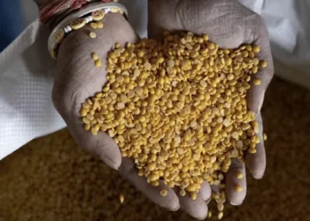 GI-tagged Tur Dal
