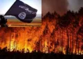 Islamic State wildfire threats emerge as Europe battles devastating fires, climate change debate and mounting pressure on emergency services