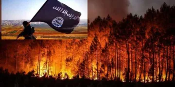 Islamic State wildfire threats emerge as Europe battles devastating fires, climate change debate and mounting pressure on emergency services