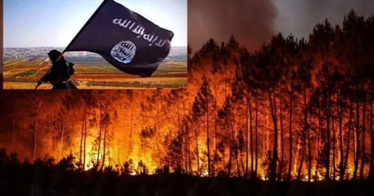 Islamic State wildfire threats emerge as Europe battles devastating fires, climate change debate and mounting pressure on emergency services