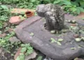 An ancient-looking Shivling discovered in the dense forest of Gaurar Mountain in Khurai has drawn devotees in large numbers
