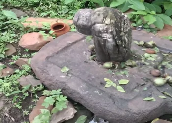 An ancient-looking Shivling discovered in the dense forest of Gaurar Mountain in Khurai has drawn devotees in large numbers