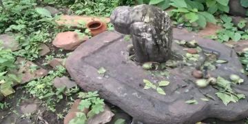An ancient-looking Shivling discovered in the dense forest of Gaurar Mountain in Khurai has drawn devotees in large numbers