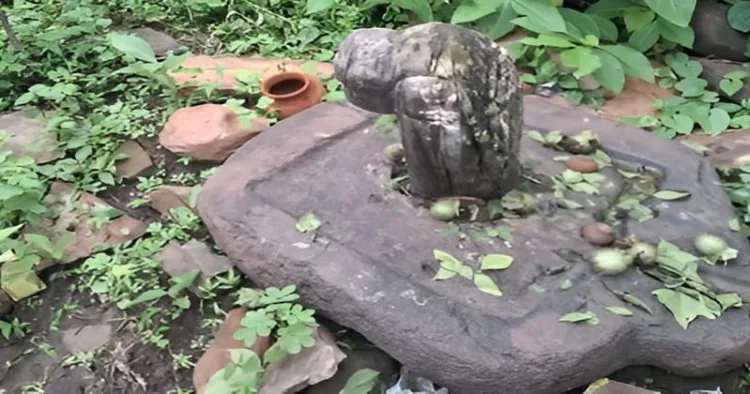 An ancient-looking Shivling discovered in the dense forest of Gaurar Mountain in Khurai has drawn devotees in large numbers