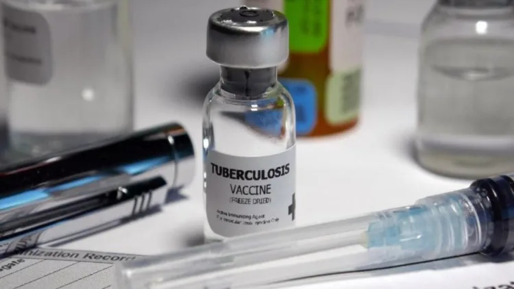 Next-generation TB vaccines could save 7.3 million lives by 2050