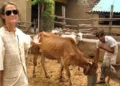 From Berlin to Braj, Sudevi Mataji’s spiritual journey became a lifelong mission of Gau Seva, caring for over 2,500 cows