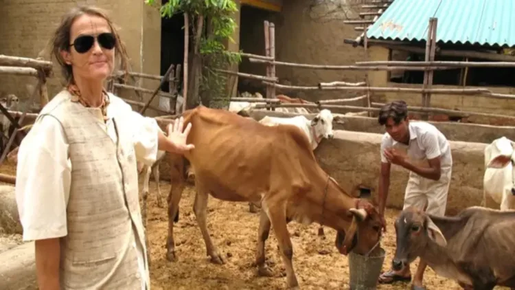 From Berlin to Braj, Sudevi Mataji’s spiritual journey became a lifelong mission of Gau Seva, caring for over 2,500 cows