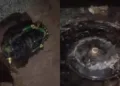 Feroz was detained after a Shivling was damaged in a Udaipur mandir, sparking protests and demands for strict action