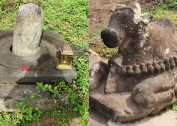 A 650-year-old Shivalinga, Basava statue and traces of an ancient Mahadeva Mandir have been discovered in the Aimangala forest