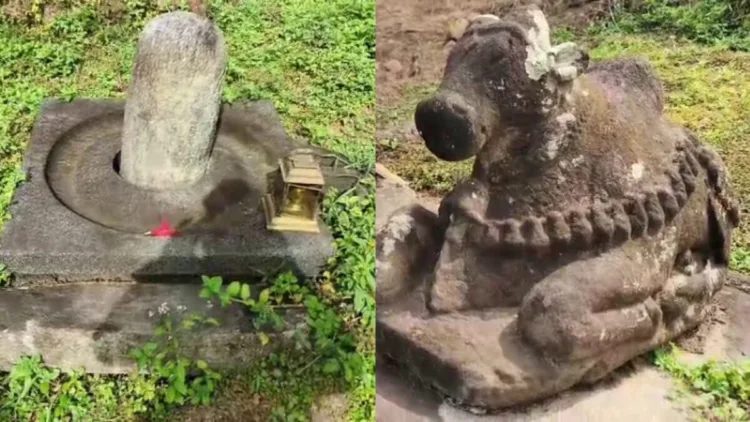 A 650-year-old Shivalinga, Basava statue and traces of an ancient Mahadeva Mandir have been discovered in the Aimangala forest
