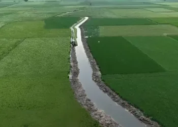 Sambhal’s Mahishmati River revived after 30 years as natural water flow returns to 18-km stretch