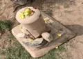 A stone Shivling and pieces of a murti resembling Mata Gauri were discovered in the debris of a collapsed wall in Dahilar village, Kanpur