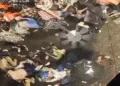 Site of the stampede that took place at Durga Puja Pandal in Kolkata