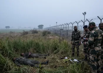 Two Pakistani intruders killed by BSF
