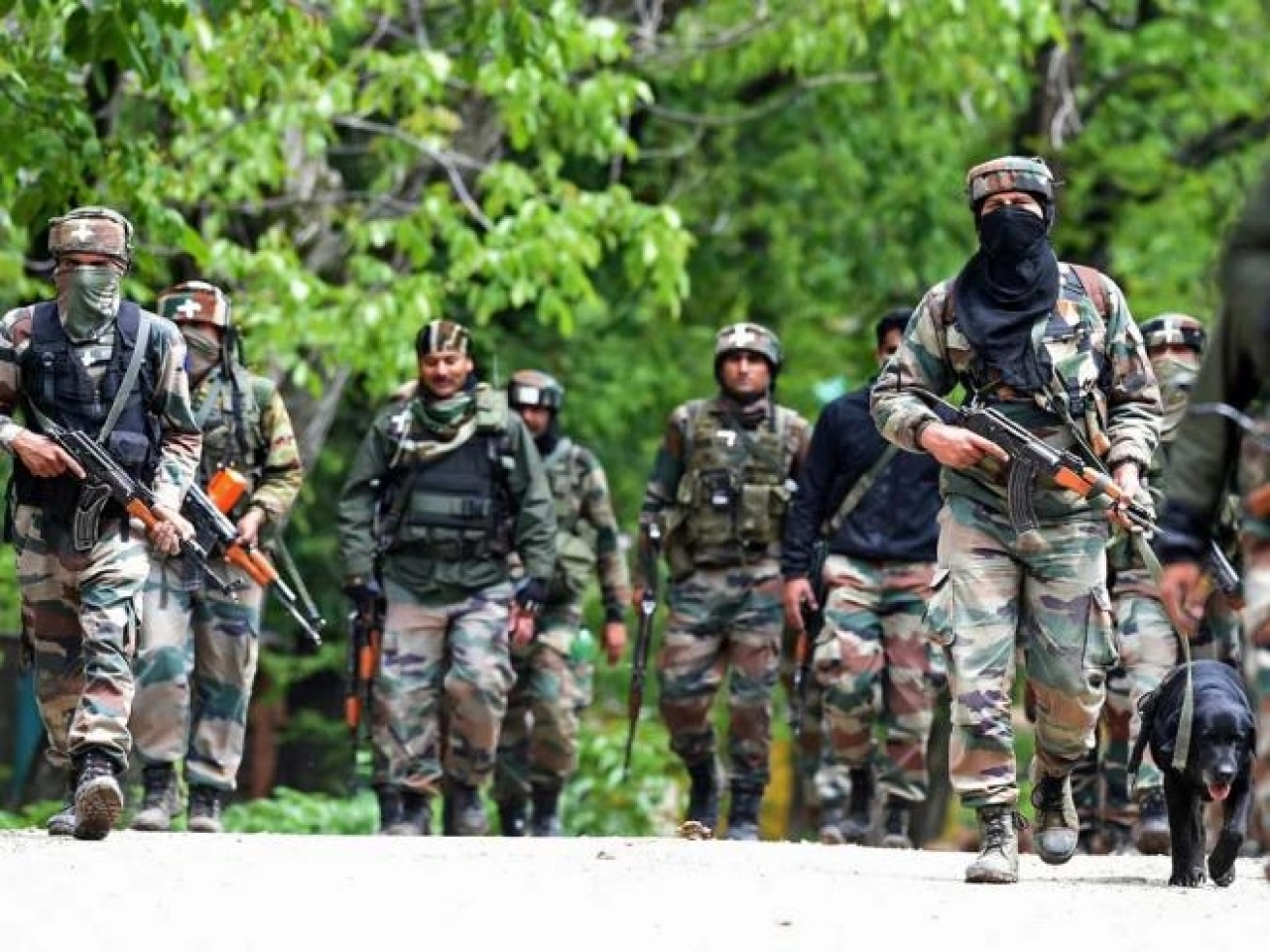 Kashmir Indian Army Marty