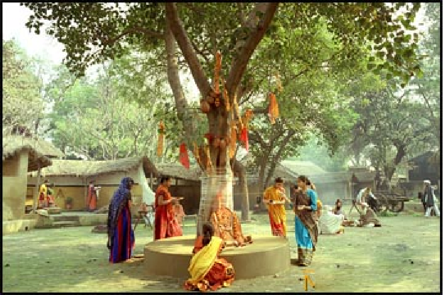 Hindu traditions environm